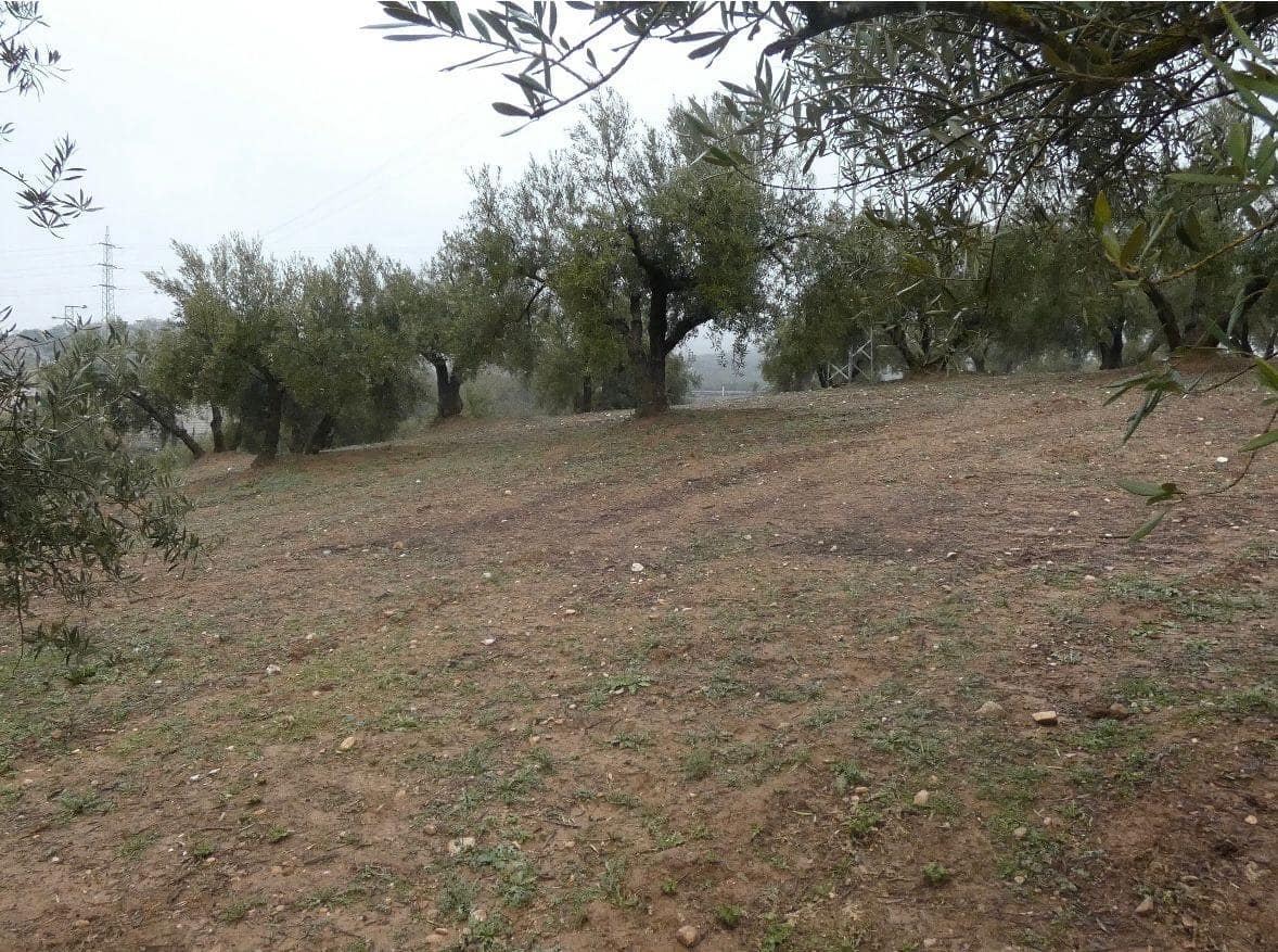 Undeveloped Land for sale in Peligros - € 144,000 (Ref: 9719902)