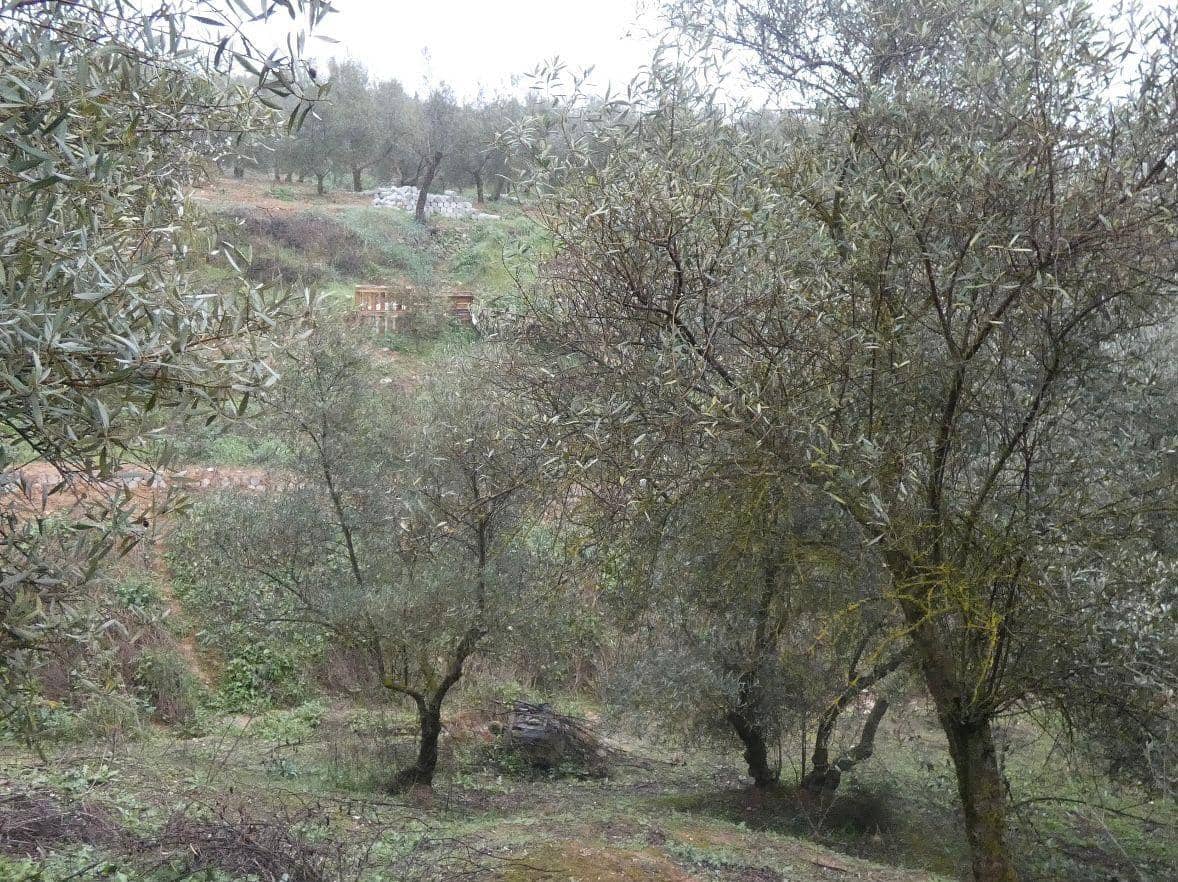 Undeveloped Land for sale in Peligros - € 144,000 (Ref: 9719902)