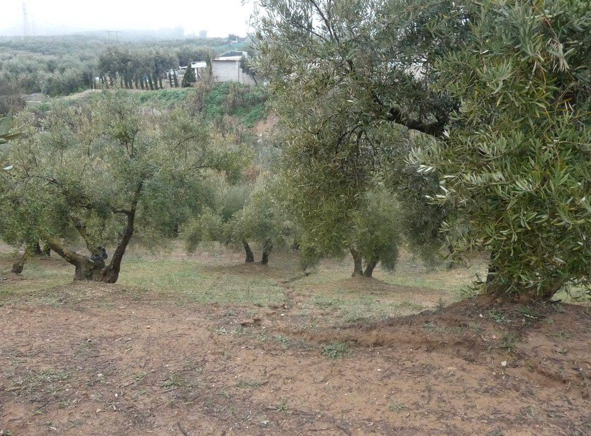 Undeveloped Land for sale in Peligros - € 144,000 (Ref: 9719902)
