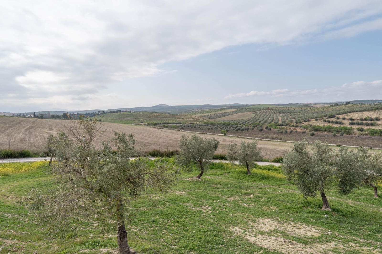 3 bedroom Villa for sale in Cullar Vega with pool garage - € 450,000 (Ref: 9719904)