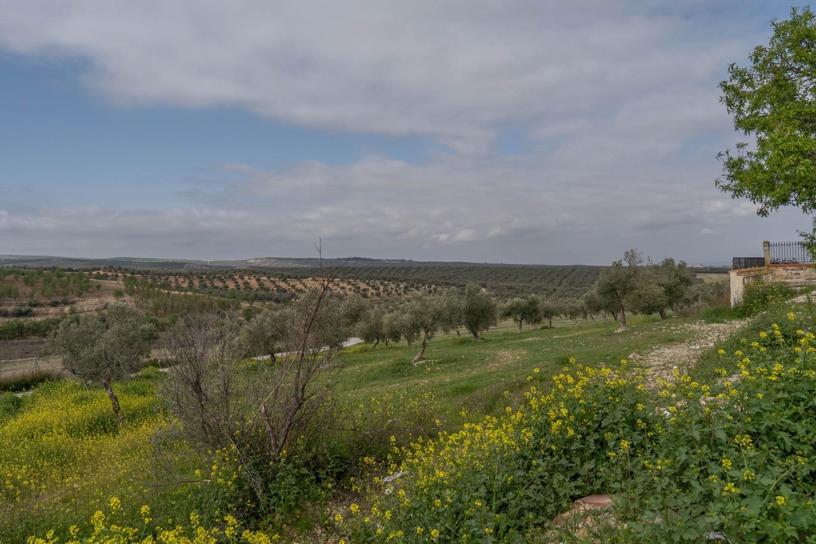 3 bedroom Villa for sale in Cullar Vega with pool garage - € 450,000 (Ref: 9719904)