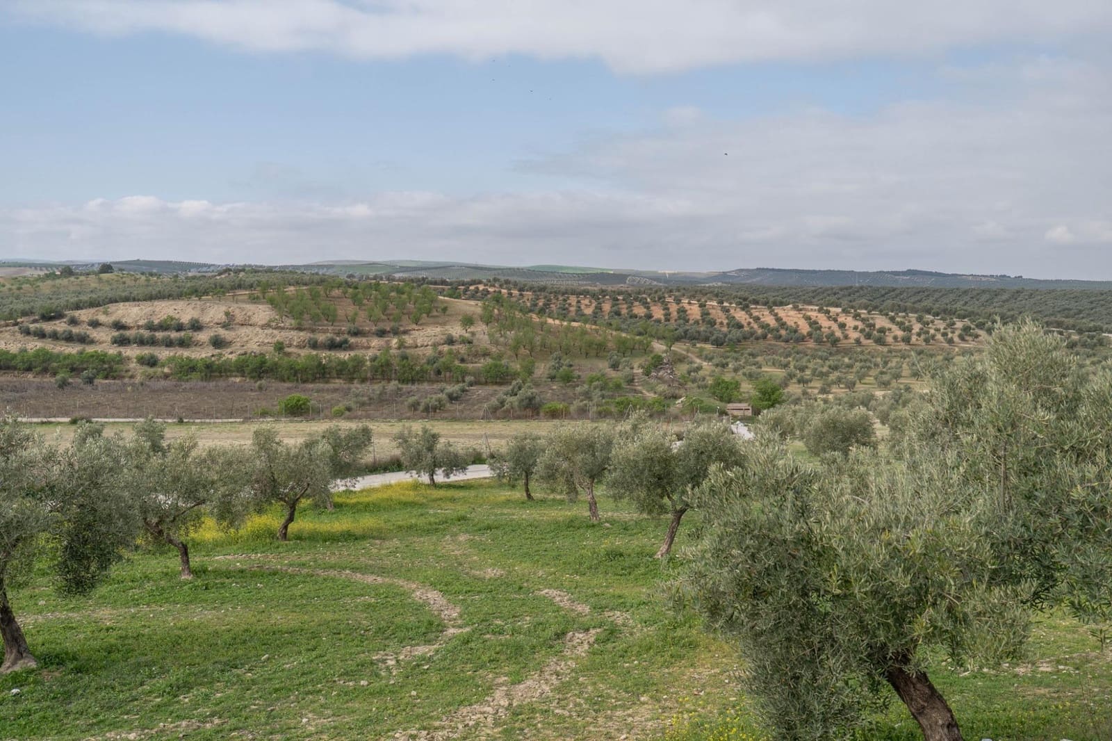 3 bedroom Villa for sale in Cullar Vega with pool garage - € 450,000 (Ref: 9719904)