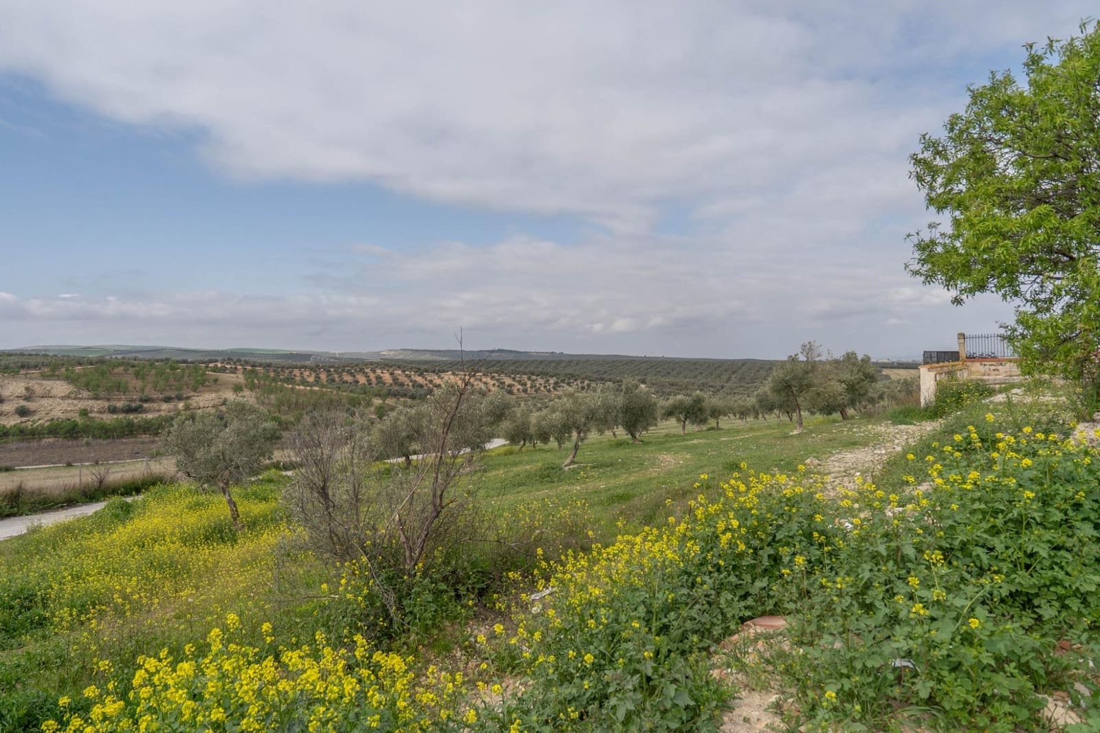 3 bedroom Villa for sale in Cullar Vega with pool garage - € 450,000 (Ref: 9719904)