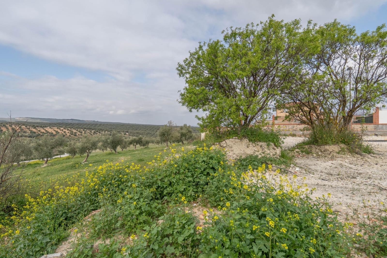 3 bedroom Villa for sale in Cullar Vega with pool garage - € 450,000 (Ref: 9719904)