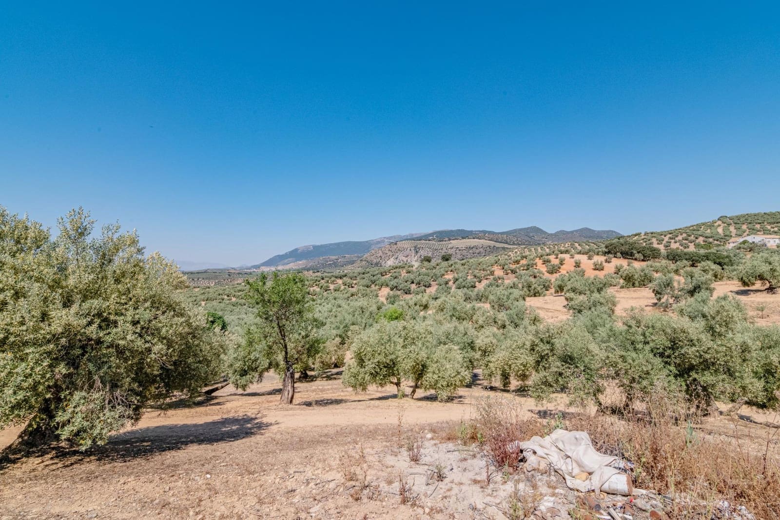 5 bedroom Finca/Country House for sale in Illora - € 44,000 (Ref: 9735569)