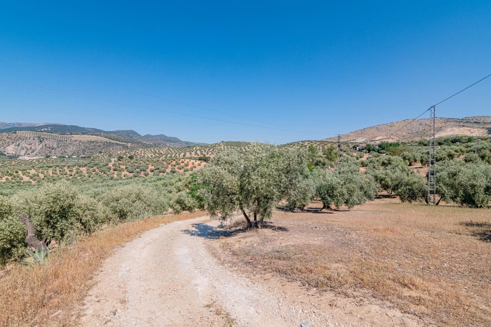 5 bedroom Finca/Country House for sale in Illora - € 44,000 (Ref: 9735569)