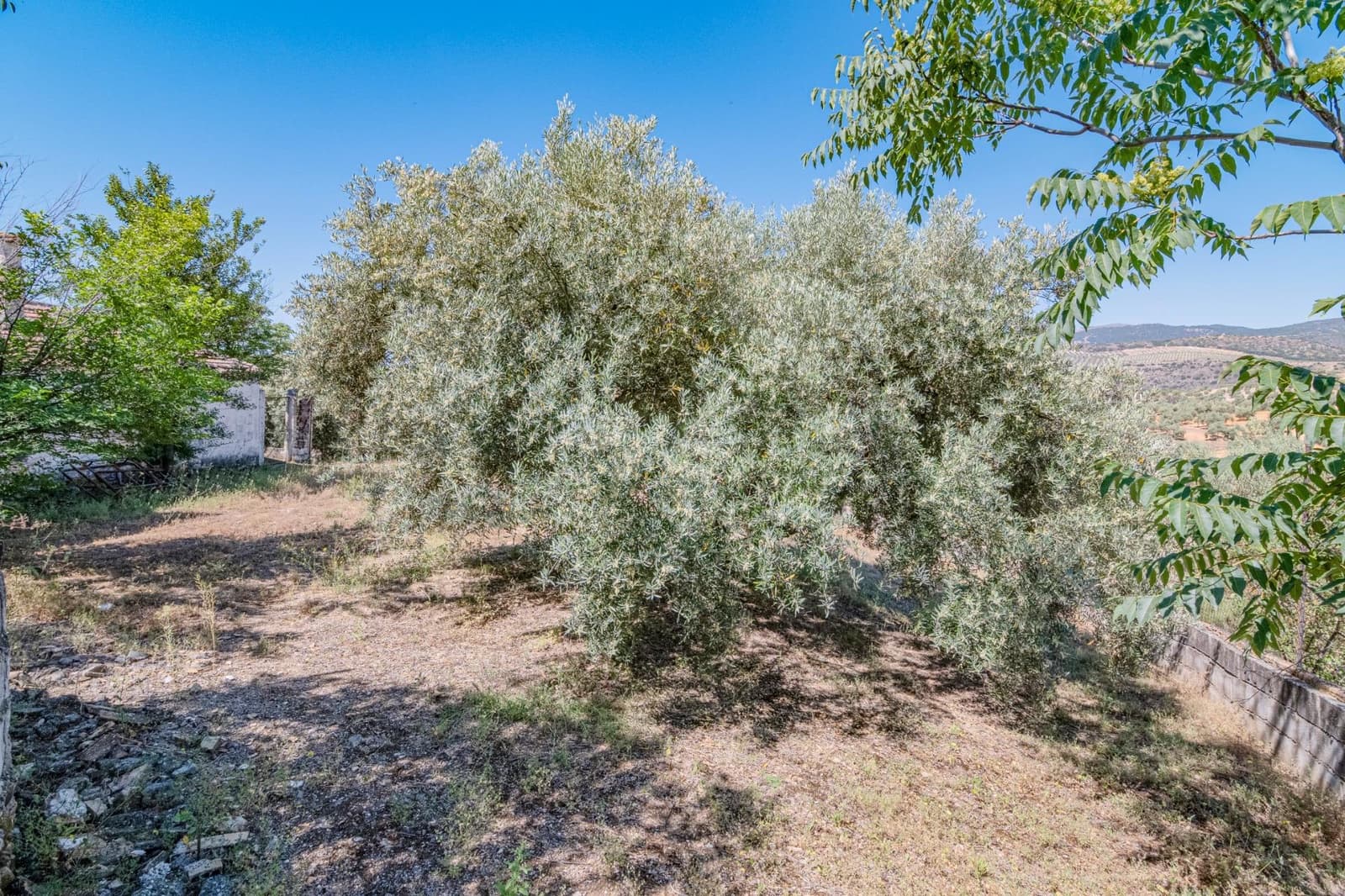 5 bedroom Finca/Country House for sale in Illora - € 44,000 (Ref: 9735569)