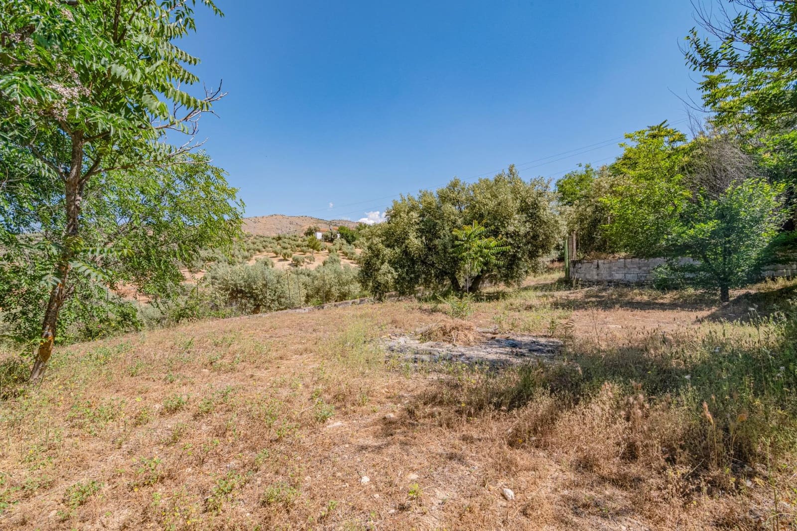 5 bedroom Finca/Country House for sale in Illora - € 44,000 (Ref: 9735569)