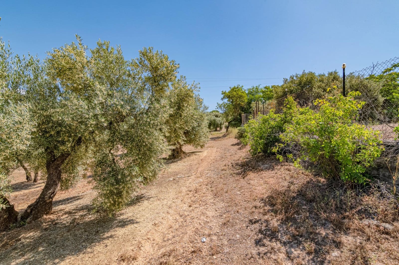 5 bedroom Finca/Country House for sale in Illora - € 44,000 (Ref: 9735569)