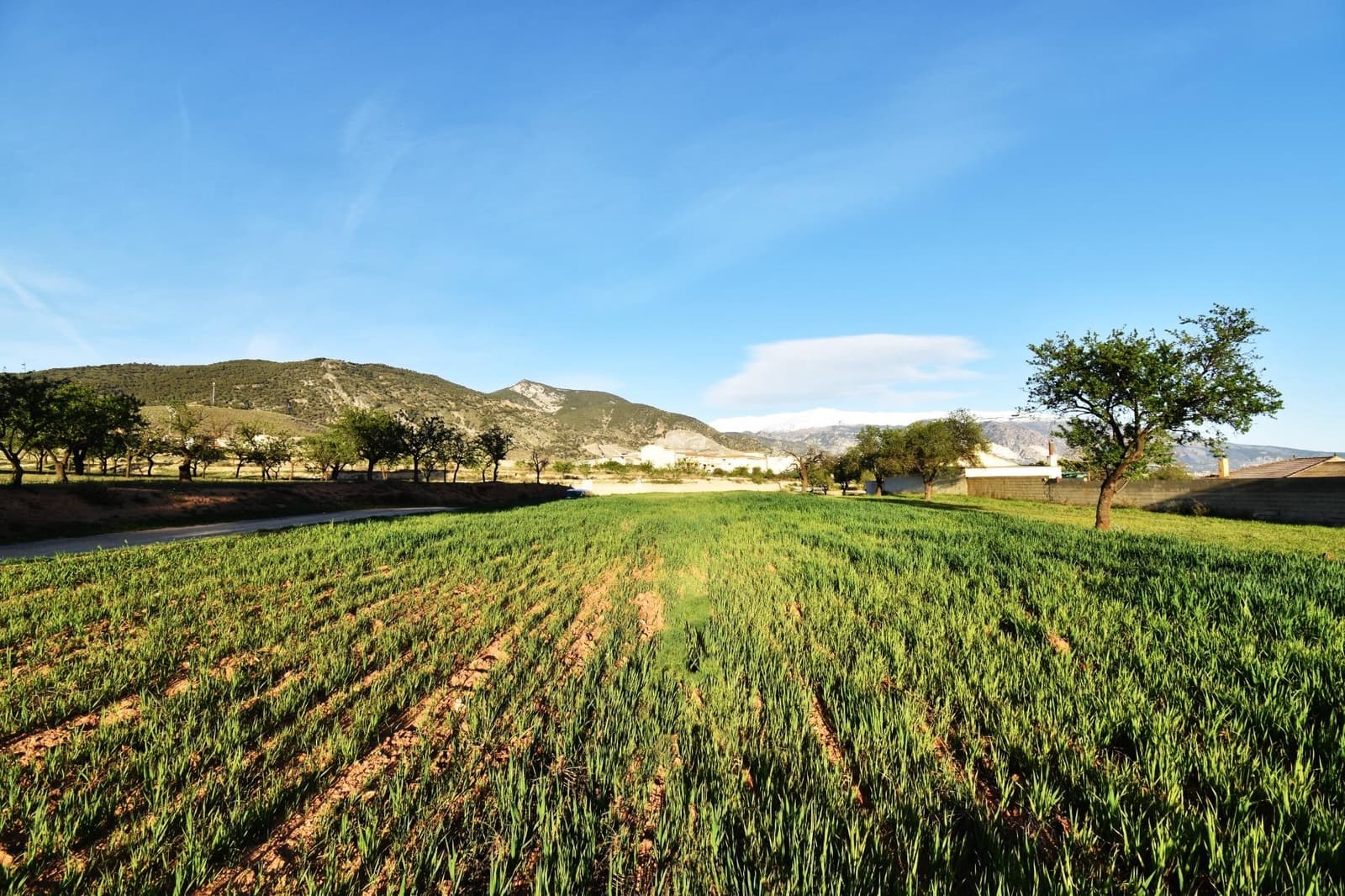 Undeveloped Land for sale in Padul - € 35,000 (Ref: 9773032)