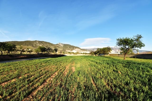 Grond te koop in Padul - € 35.000 (Ref: 9773032)