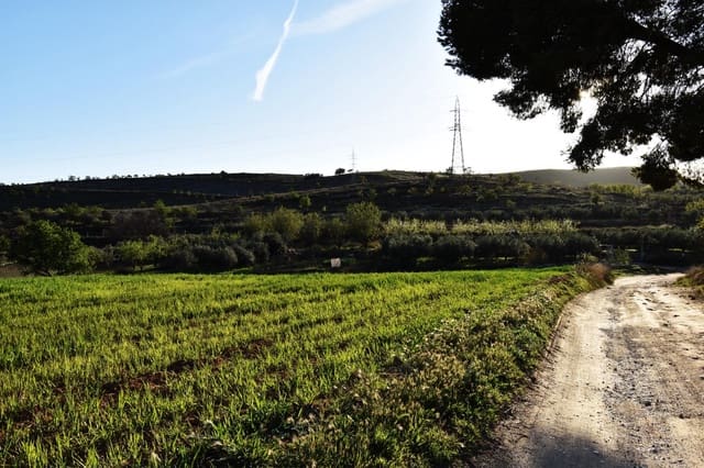 Grond te koop in Padul - € 35.000 (Ref: 9773032)