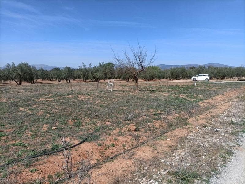 Finca/Casa di Campagna in vendita in Albolote - 48.000 € (Rif: 9773033)