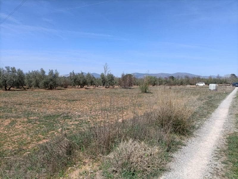 Finca/Casa di Campagna in vendita in Albolote - 48.000 € (Rif: 9773033)