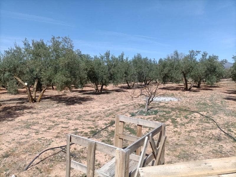 Finca/Casa di Campagna in vendita in Albolote - 48.000 € (Rif: 9773033)