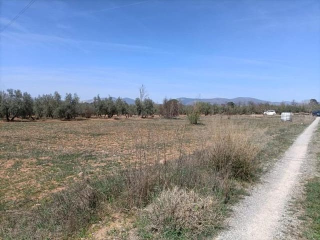 Finca/Casa di Campagna in vendita in Albolote - 48.000 € (Rif: 9773033)