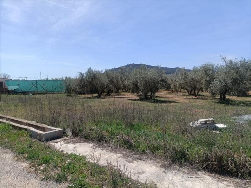 Finca/Casa di Campagna in vendita in Albolote - 48.000 € (Rif: 9773033)