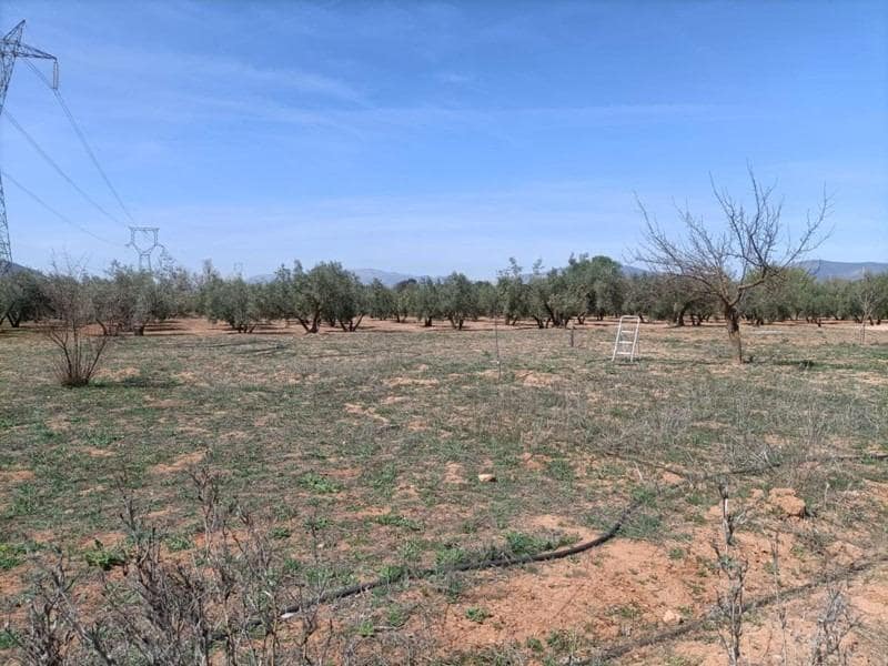 Finca/Casa di Campagna in vendita in Albolote - 48.000 € (Rif: 9773033)