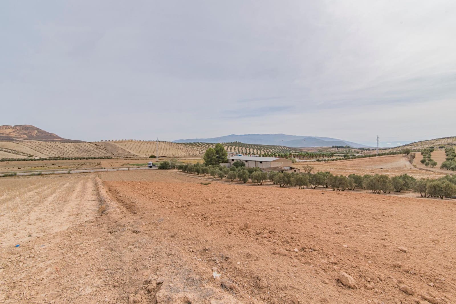 Finca/Casa Rural en La Malahá en venta - 38.000 € (Ref: 9773034)