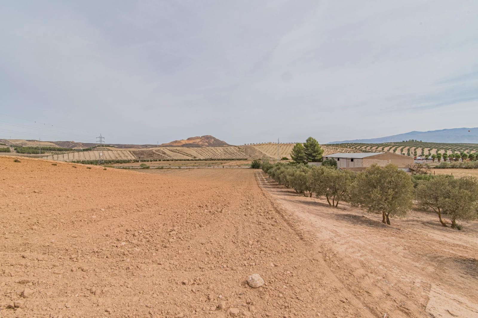 Finca/Casa Rural en La Malahá en venta - 38.000 € (Ref: 9773034)