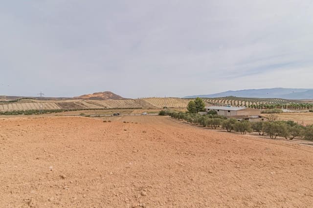 Finca/Hus på landet till salu i La Malahá - 38 000 € (Ref: 9773034)