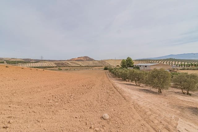 Finca/Hus på landet till salu i La Malahá - 38 000 € (Ref: 9773034)