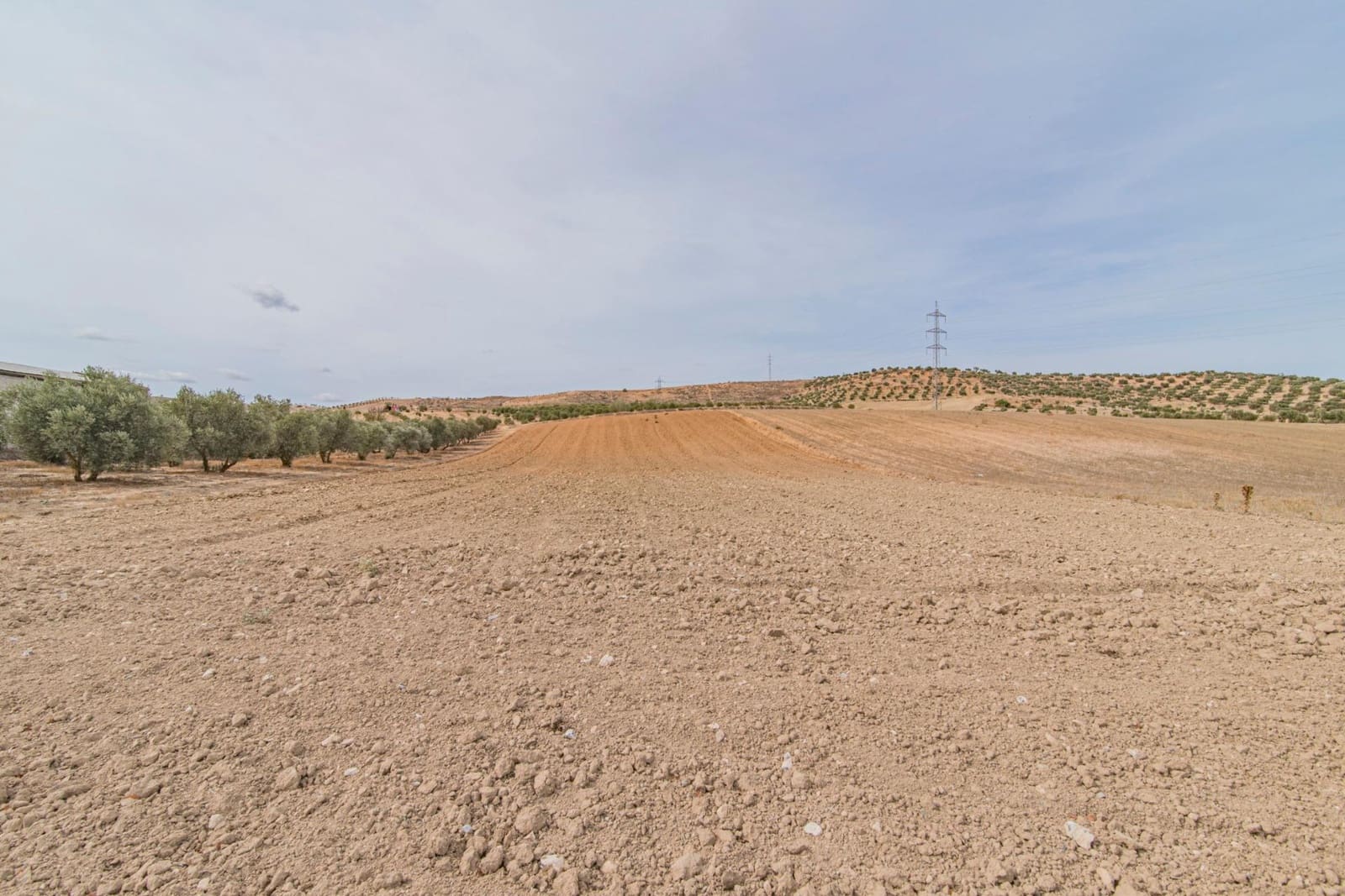 Finca/Casa Rural en La Malahá en venta - 38.000 € (Ref: 9773034)