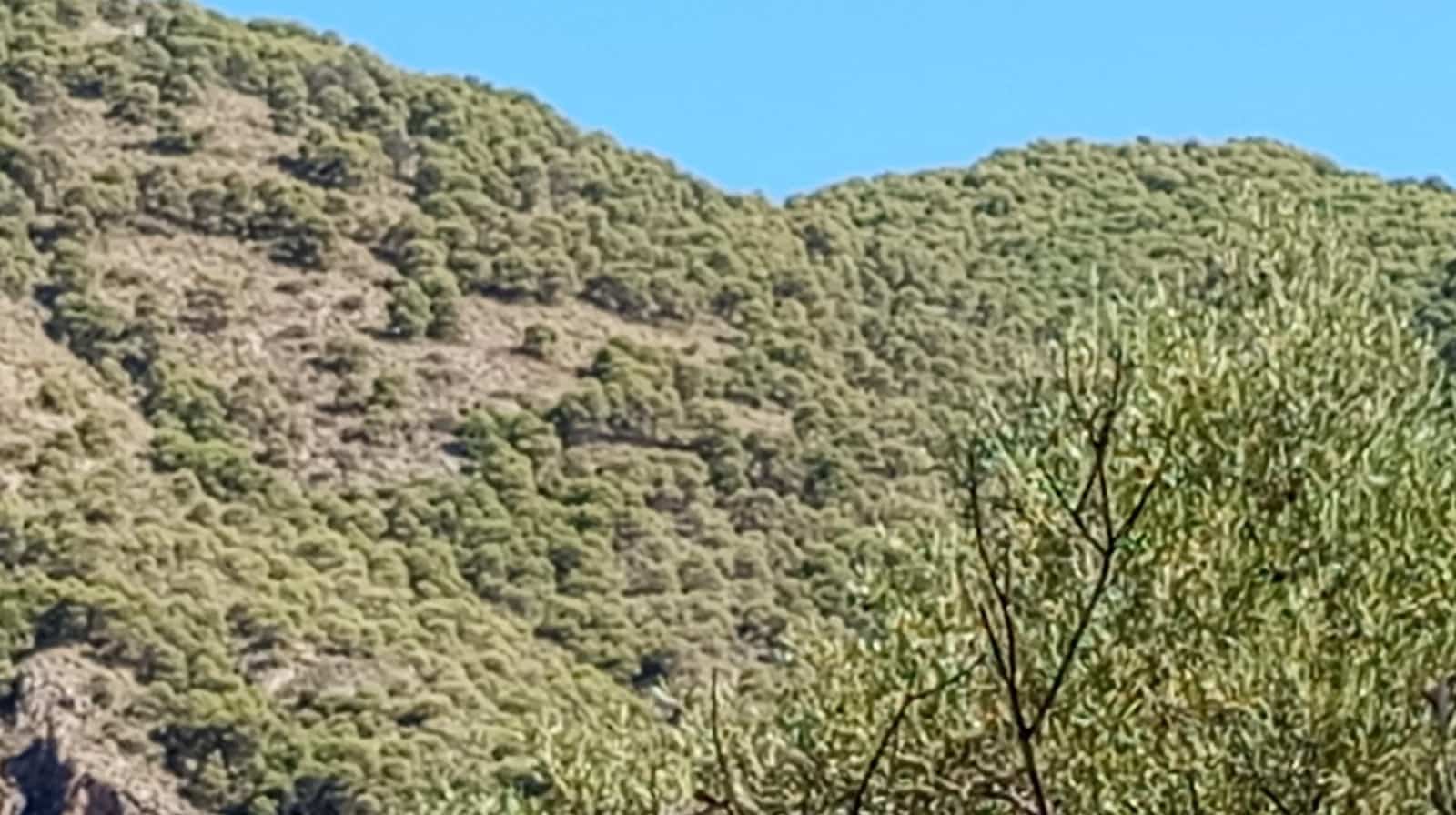 2 chambre Finca/Maison de Campagne à vendre à Padul - 150 000 € (Ref: 9773036)