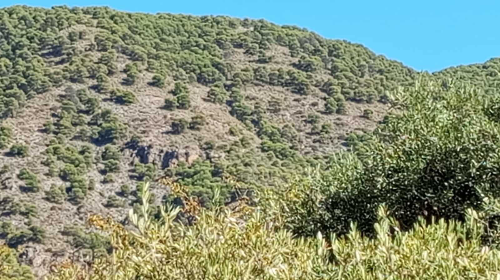 2 chambre Finca/Maison de Campagne à vendre à Padul - 150 000 € (Ref: 9773036)