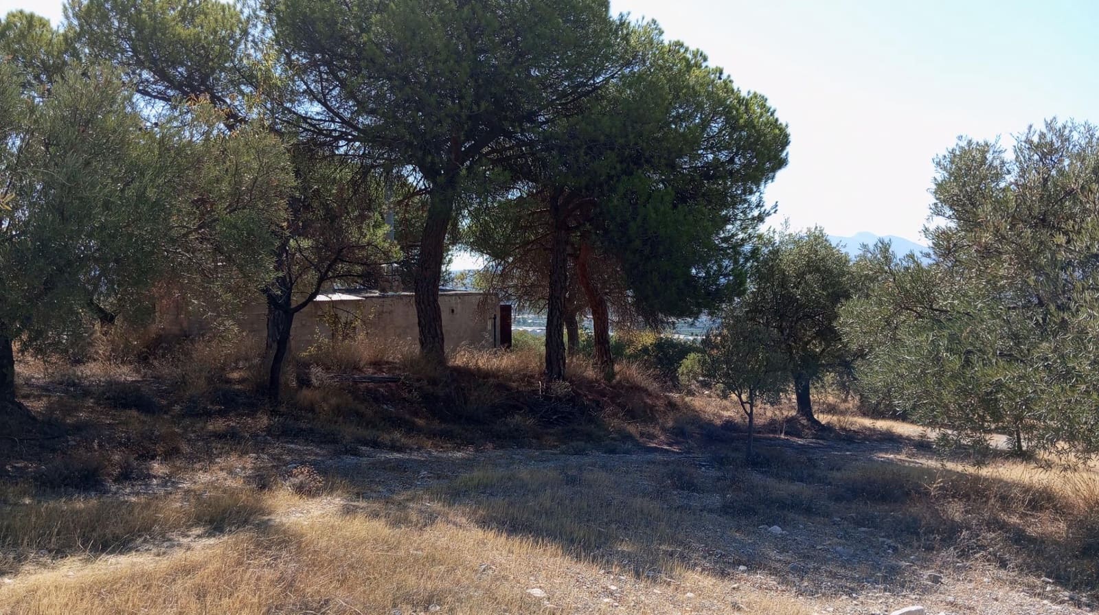 2 chambre Finca/Maison de Campagne à vendre à Padul - 150 000 € (Ref: 9773036)