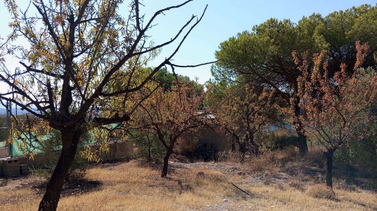 2 chambre Finca/Maison de Campagne à vendre à Padul - 150 000 € (Ref: 9773036)