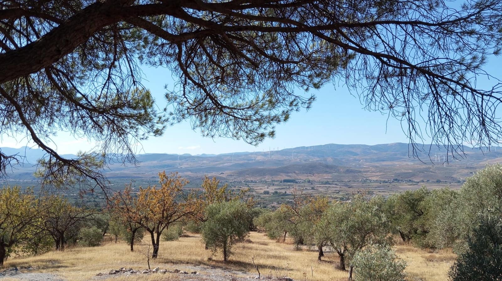 2 chambre Finca/Maison de Campagne à vendre à Padul - 150 000 € (Ref: 9773036)