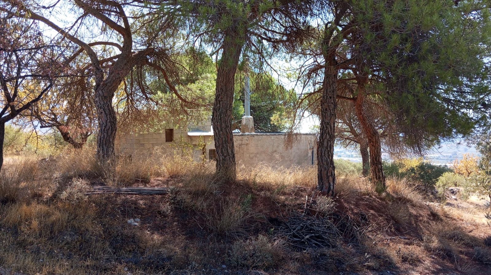 2 chambre Finca/Maison de Campagne à vendre à Padul - 150 000 € (Ref: 9773036)