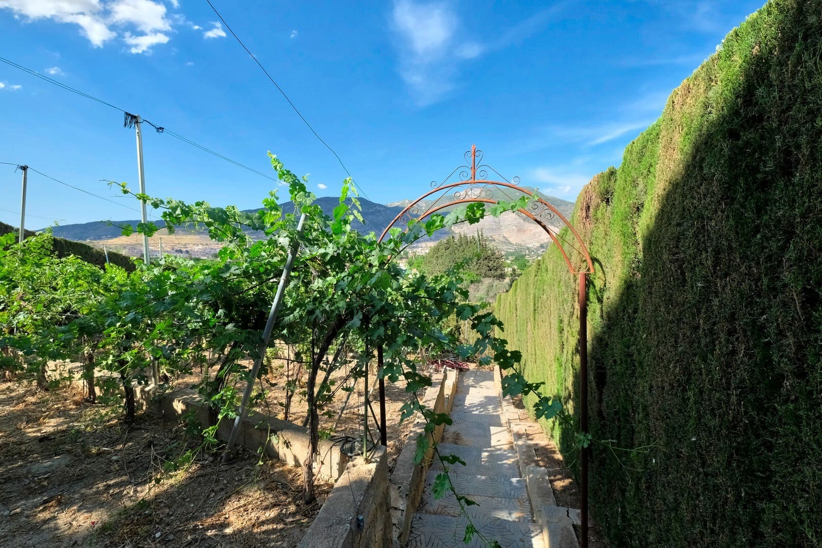 5 chambre Finca/Maison de Campagne à vendre à Padul avec piscine garage - 350 000 € (Ref: 9780529)