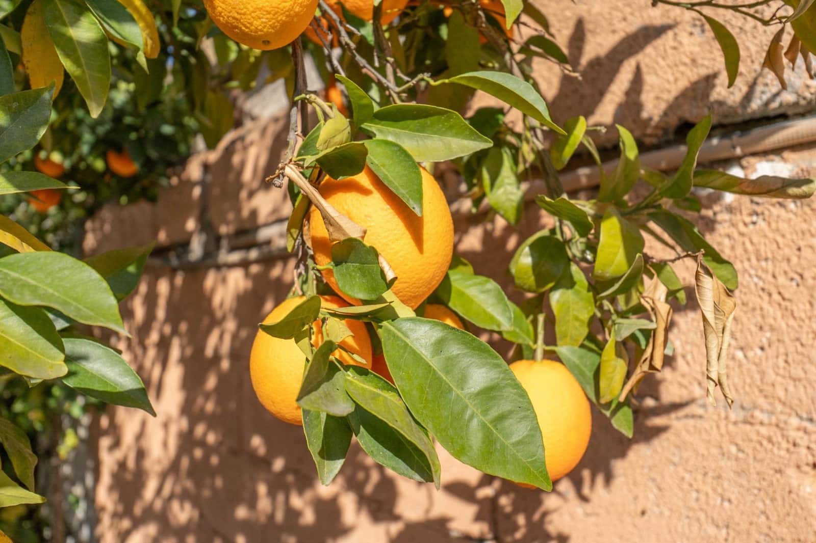 2 soveværelse Villa til salg i Granada by med swimmingpool garage - € 269.900 (Ref: 9791024)