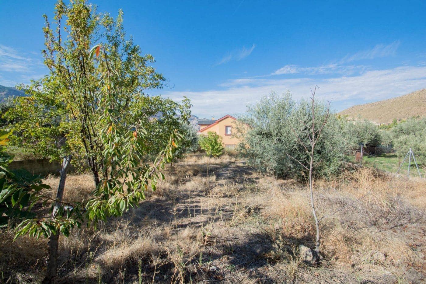 5 chambre Villa/Maison à vendre à Guejar Sierra avec piscine - 314 900 € (Ref: 9791025)