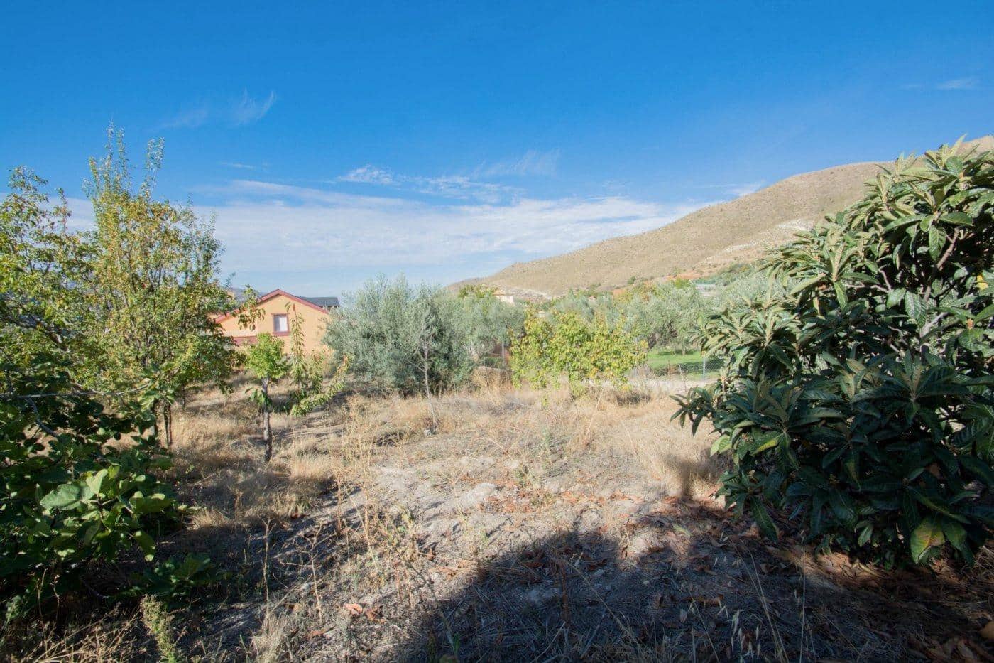 5 chambre Villa/Maison à vendre à Guejar Sierra avec piscine - 314 900 € (Ref: 9791025)