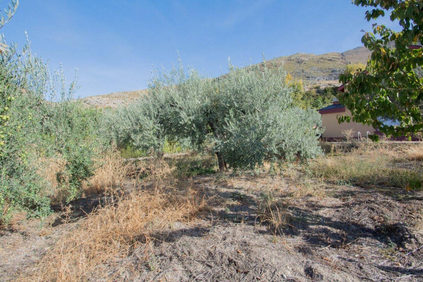 5 chambre Villa/Maison à vendre à Guejar Sierra avec piscine - 314 900 € (Ref: 9791025)