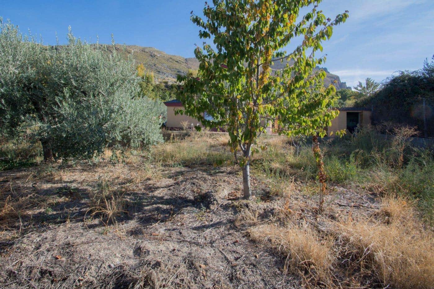 5 chambre Villa/Maison à vendre à Guejar Sierra avec piscine - 314 900 € (Ref: 9791025)