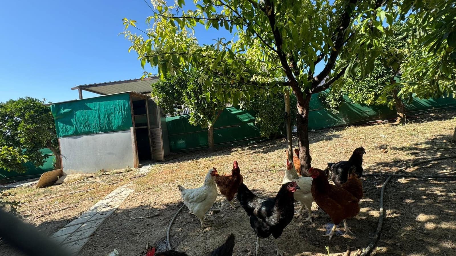 Grunde uden byggetilladelser til salg i Alhaurin de la Torre - € 425.000 (Ref: 8469266)