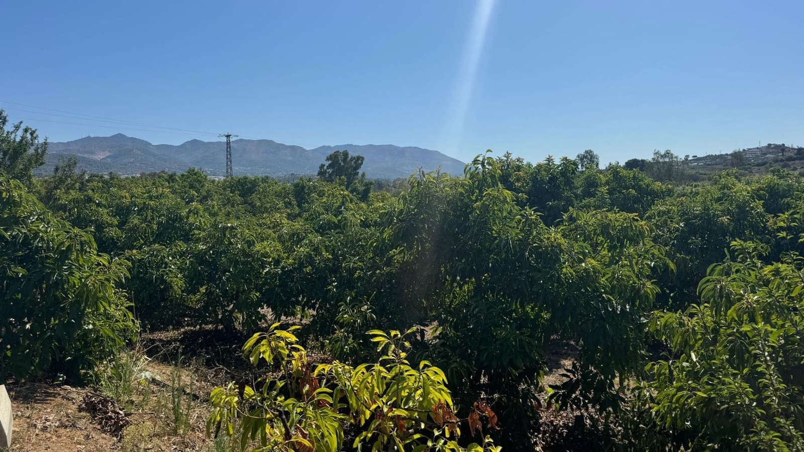 Grunde uden byggetilladelser til salg i Alhaurin de la Torre - € 425.000 (Ref: 8469266)