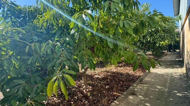 Mark till salu i Alhaurín de la Torre - 425 000 € (Ref: 8469266)