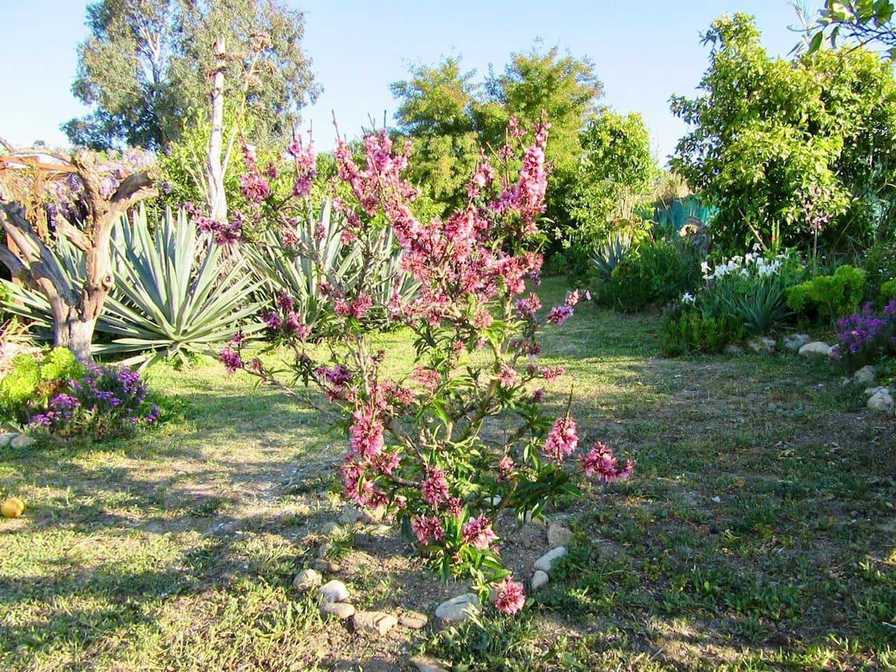 5 soverom Finca/Herregård til salgs i Cartama med svømmebasseng - € 499 000 (Ref: 9403557)