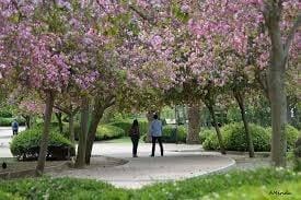 1 sypialnia Apartament na sprzedaż w Benalmadena z basenem - 210 000 € (Ref: 9565416)