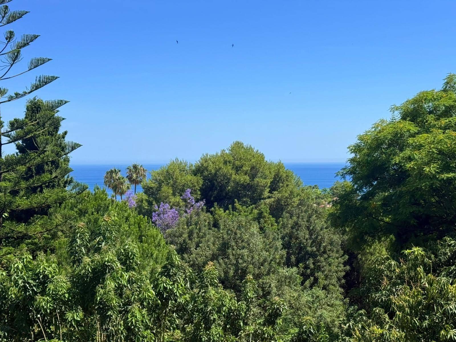 Chalet de 7 habitaciones en Torremuelle en venta con piscina garaje - 1.800.000 € (Ref: 9983131)
