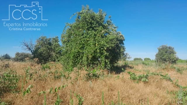 Bouwgrond te koop in Almonte - € 9.000 (Ref: 10002513)