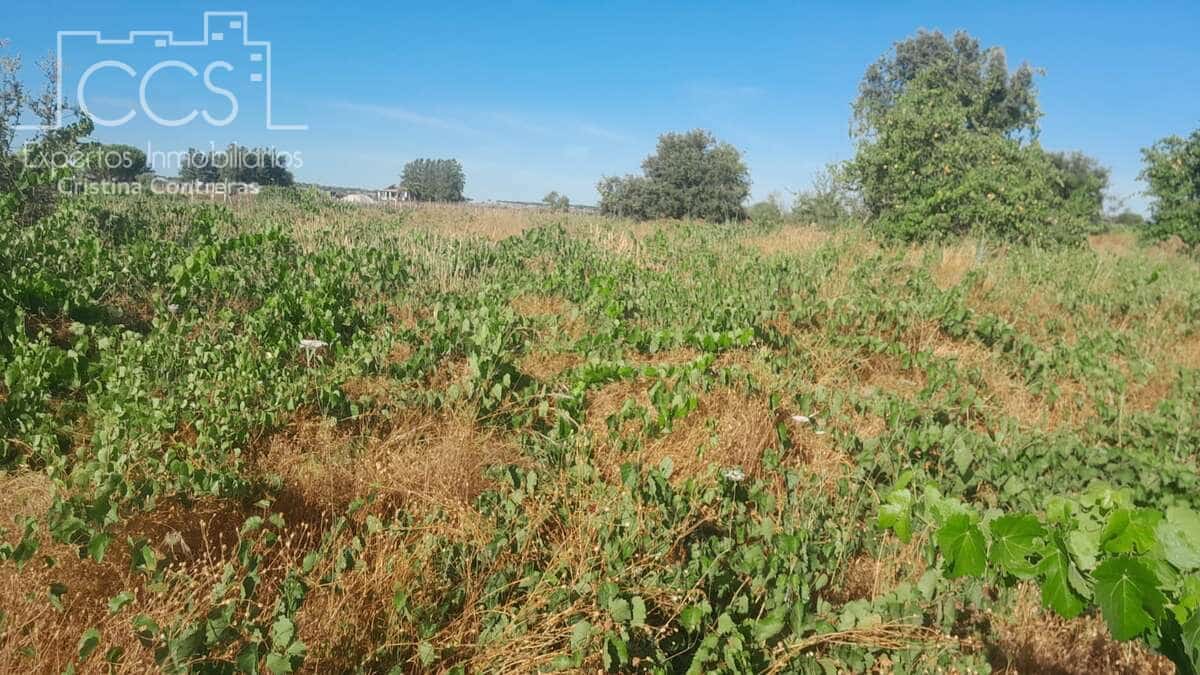Bouwgrond te koop in Almonte - € 9.000 (Ref: 10002513)