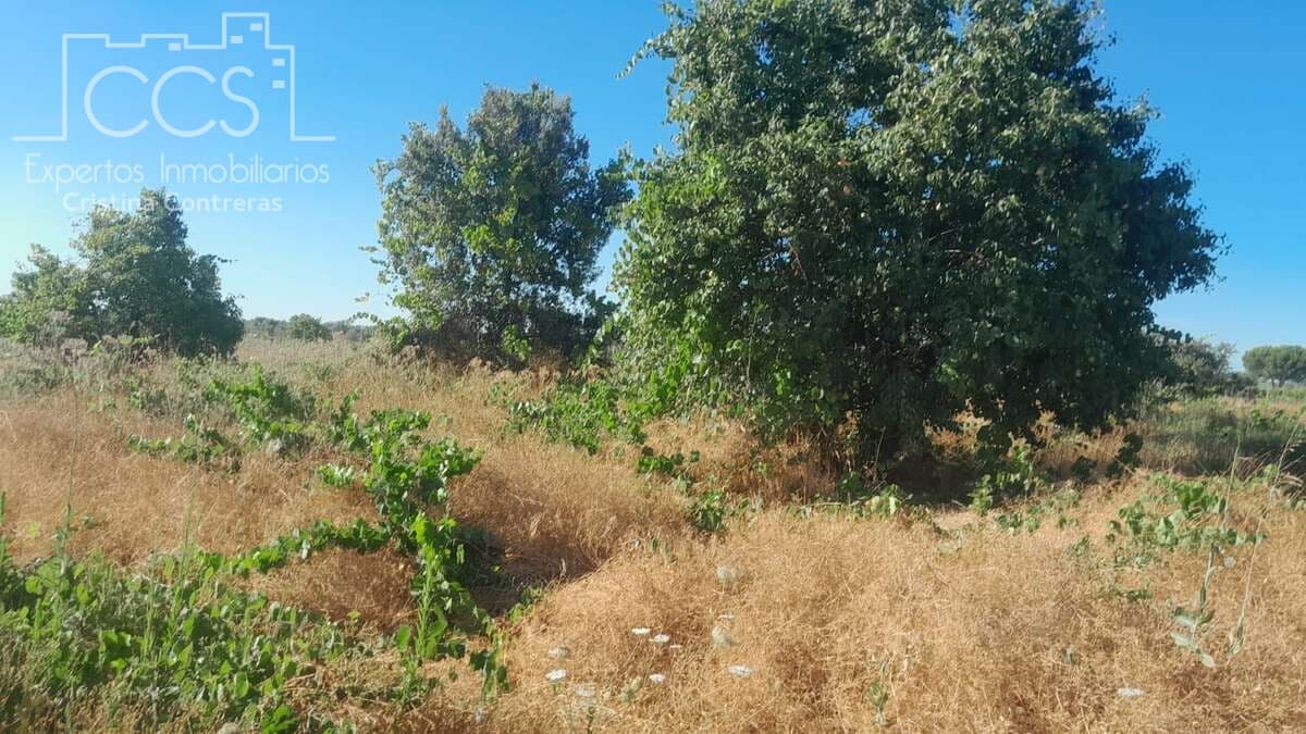 Bouwgrond te koop in Almonte - € 9.000 (Ref: 10002513)