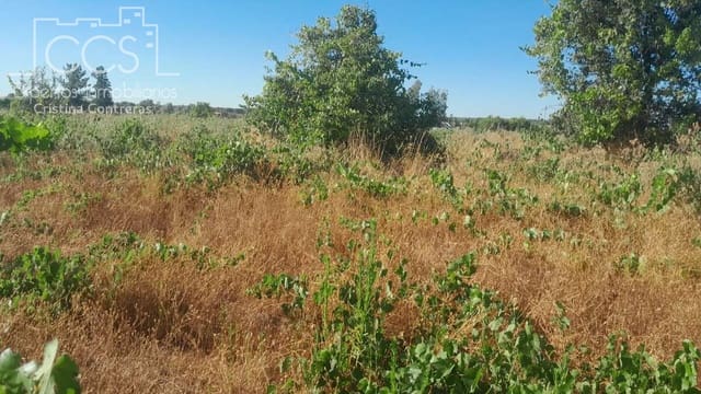 Bouwgrond te koop in Almonte - € 9.000 (Ref: 10002513)