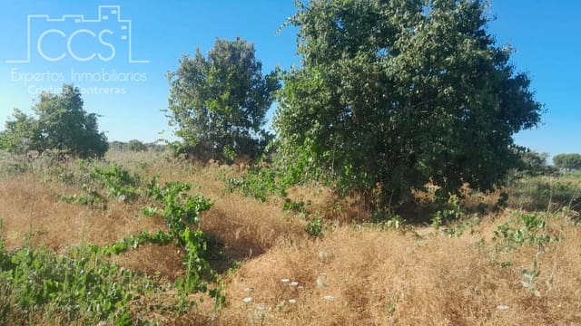 Bouwgrond te koop in Almonte - € 9.000 (Ref: 10002513)